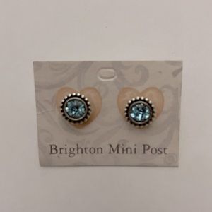 Brighton blue mini ear posts